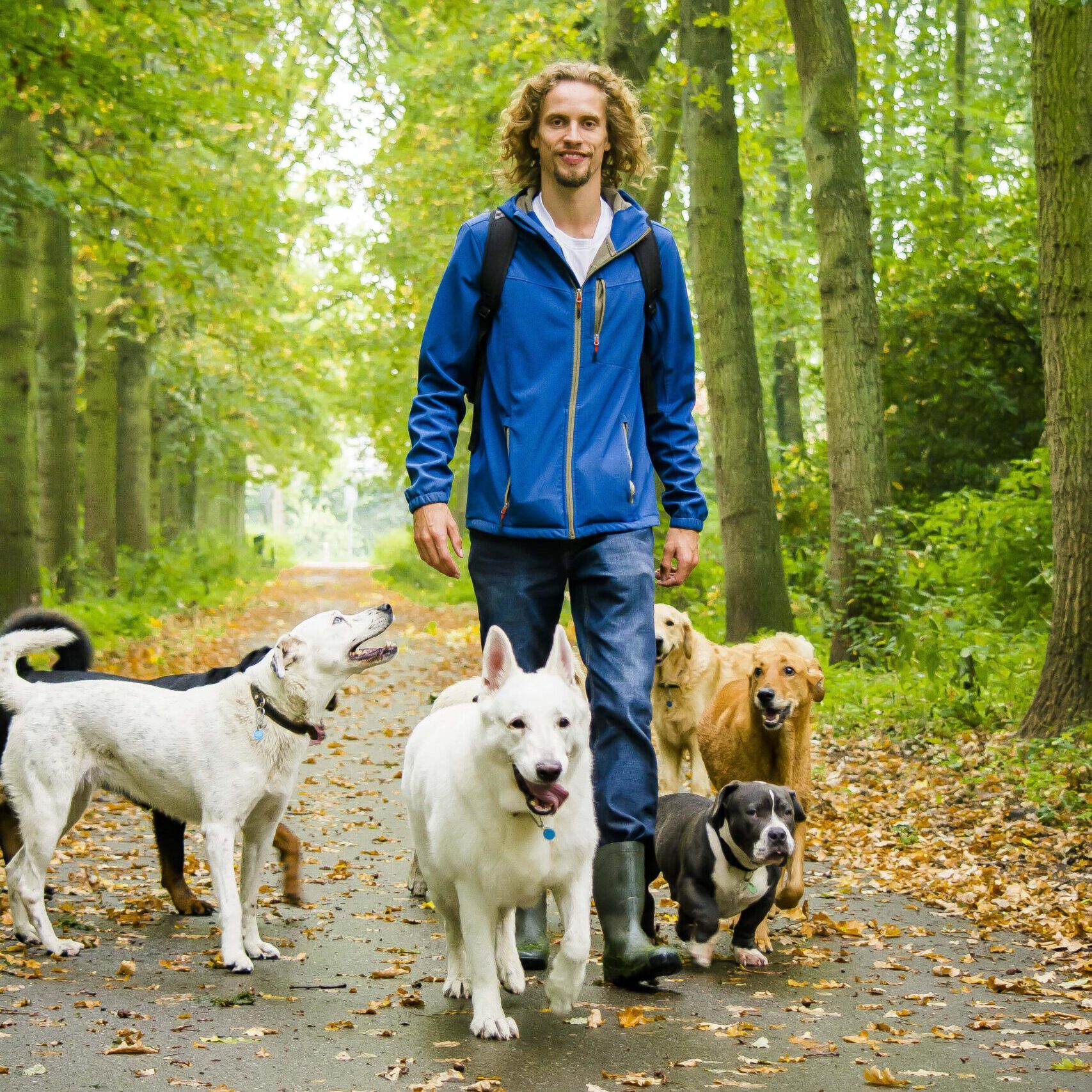 Geen overwicht hondentraining aan huis | Support 4 Dogs