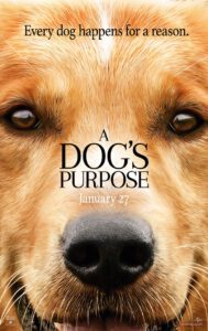 Top 5 hondenfilms - Dog's purpose
