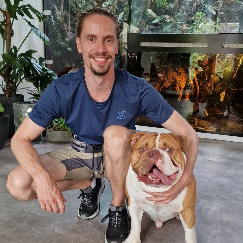 Angstige of agressieve hond trainen Privé hondentraining aan huis