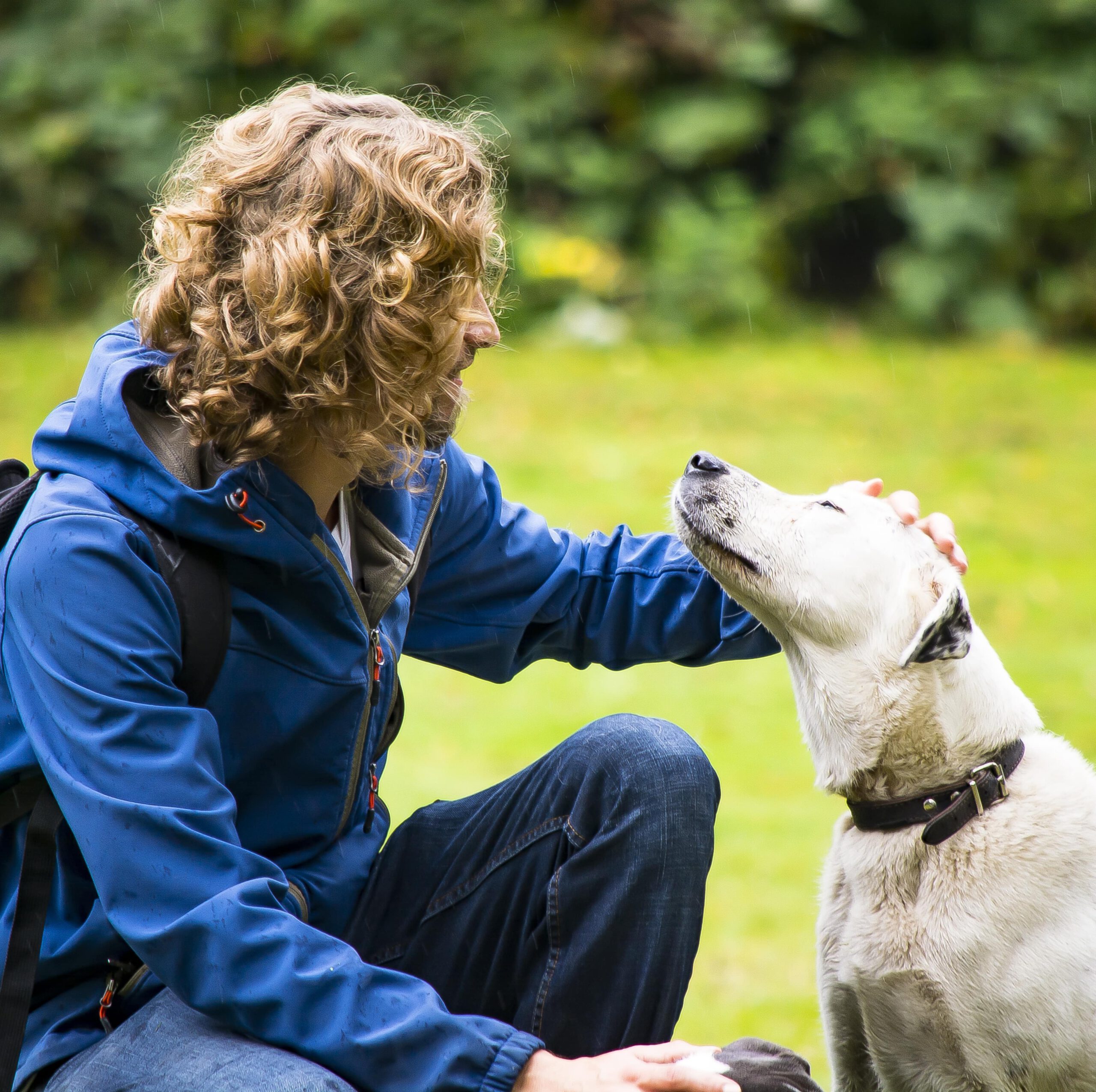 Reactieve hond training-crop hondentraining aan huis | Support 4 Dogs