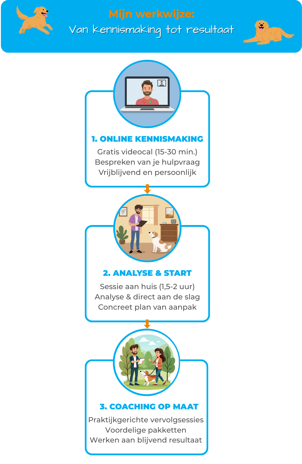 Coachingstraject infographic hondentraining aan huis | Support 4 Dogs