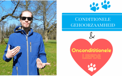 Blog | Support 4 Dogs Conditionele gehoorzaamheid & onconditionele liefde