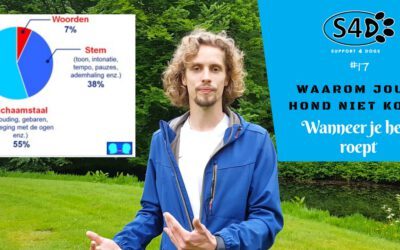 Blog | Support 4 Dogs Waarom jouw hond niet komt wanneer je hem roept