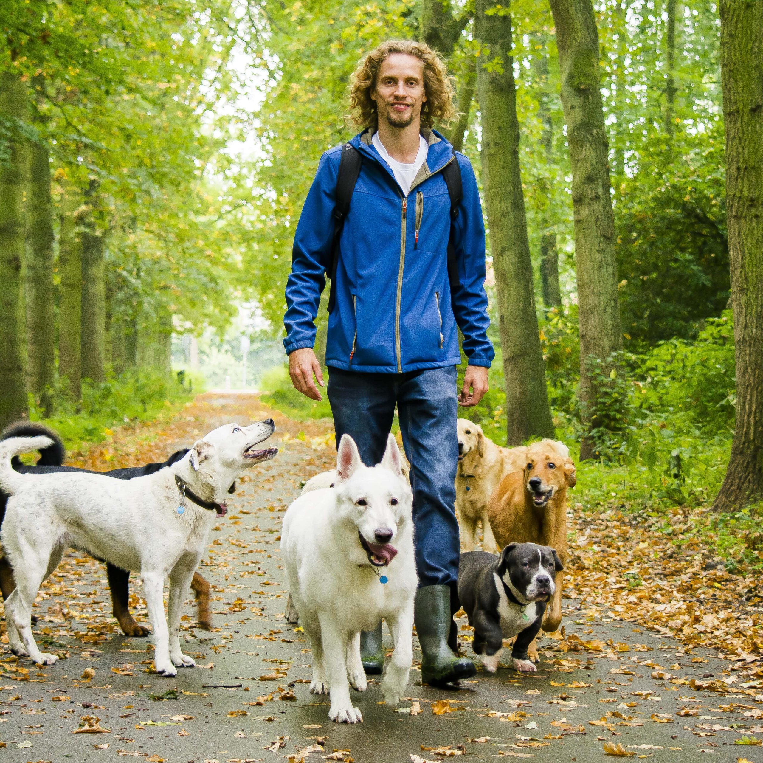 Geen overwicht hondentraining aan huis | Support 4 Dogs