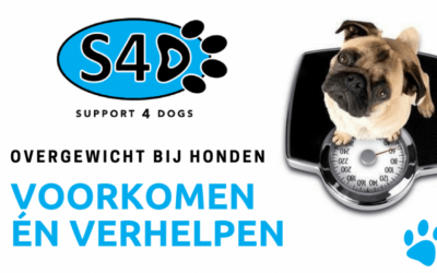 Blog | Support 4 Dogs Overgewicht bij honden voorkomen én verhelpen