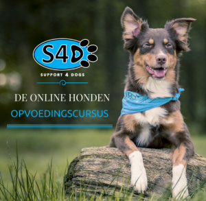 S4D: De Online Honden Opvoedingscursus