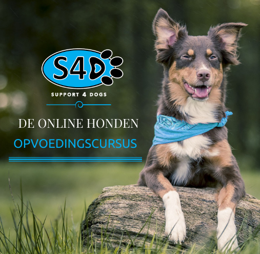 Online Honden Opvoedingscursus