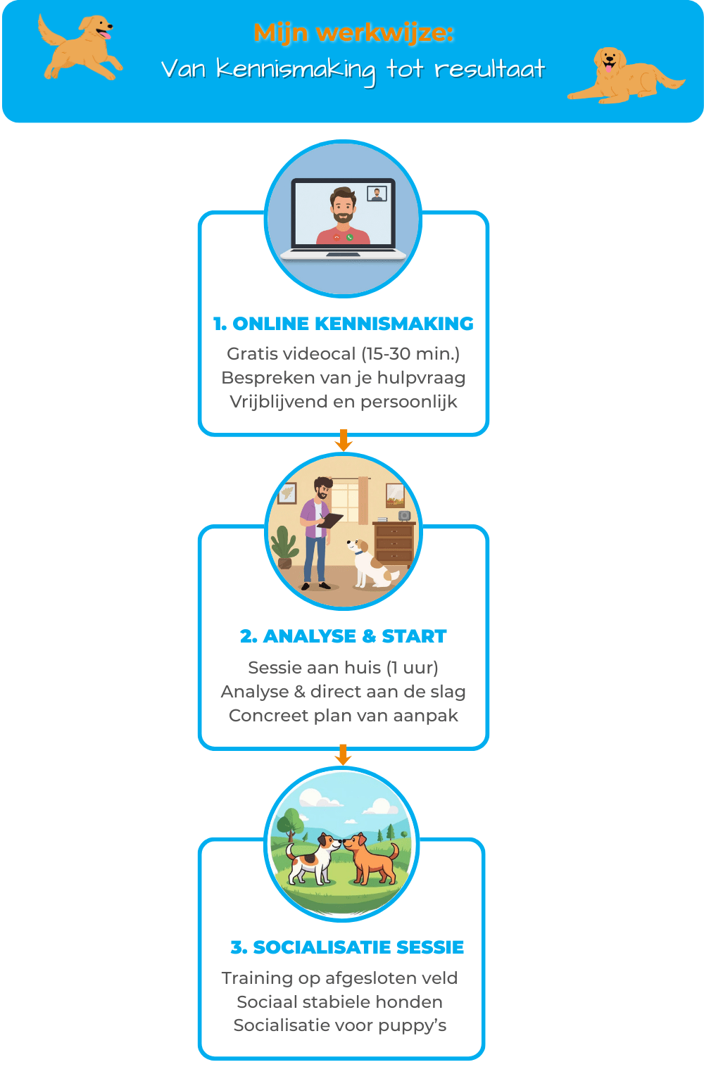 Socialisatie sessie voor pups | Support 4 Dogs